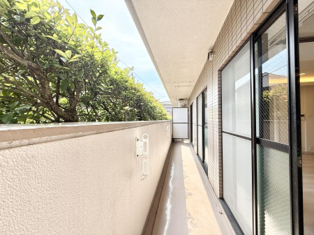 oRj[  Sn悢ƌA났̃oRj[