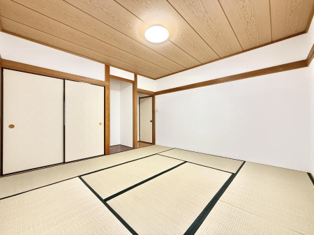 ���̑����� ����