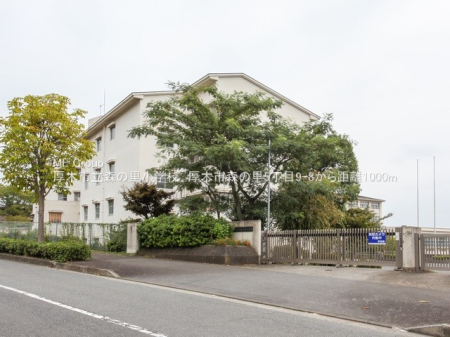 ���ӊ� ���w�Z 1000m ���؎s���X�̗����w�Z