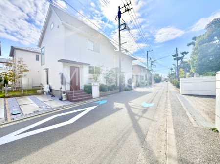 nOώʐ^ OρV̑ASn悢