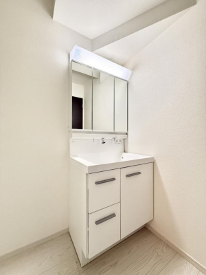 ���̑� ����