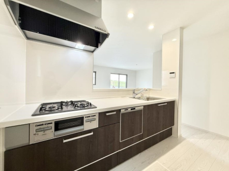 ���̑� ����