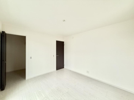 ���̑� ����