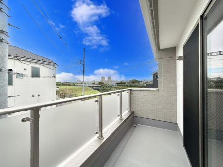 ���̑� ����