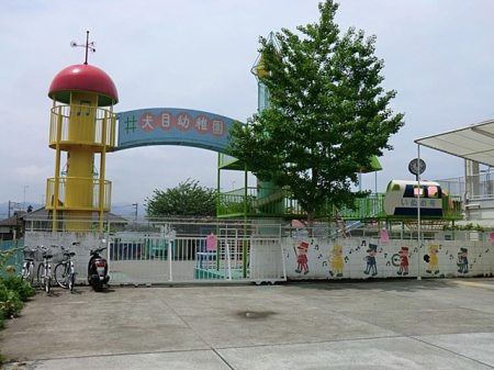 ӊ ctEۈ牀 2900m ڗct