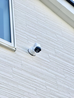 ̑ ݔhƃJƁAƍ߂̗}~ɂȂ̂ňSłB