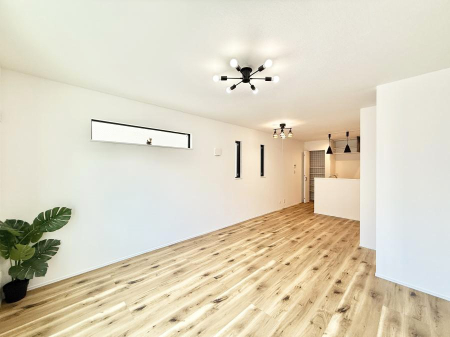 ̑ Ƒ̏Ί炪ӂA났̋