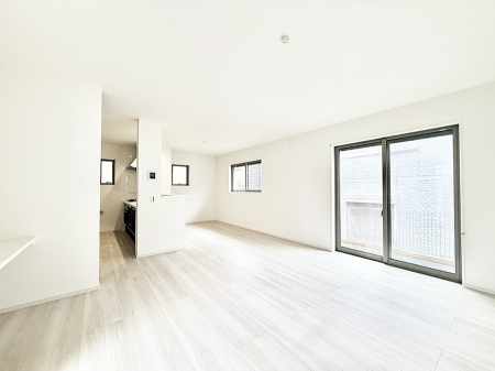 rO VvґA؂ȐlƉ߂Sقǂ