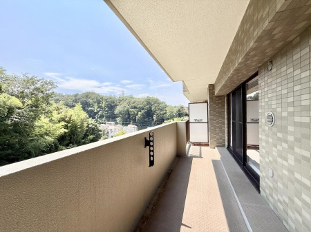 oRj[  𒭂߂ȂAقƈꑧʂȋ