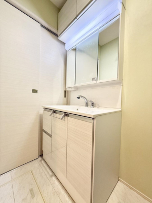 ���ʑ�E���ʏ� ���������̏������X���[�Y�ɂł���L���ł�