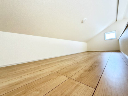 ���̑� ������+���̃X�y�[�X�I���t�g�t���I  