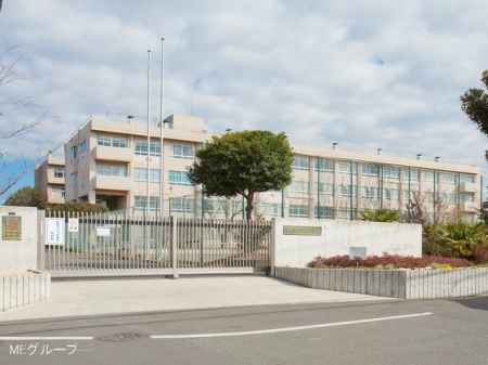 ӊ wZ 2200m ؎srwZ