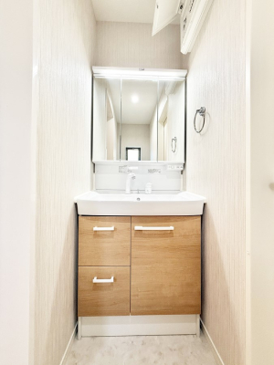 ���ʑ�E���ʏ� ������������������A�C�����悭�g���܂�