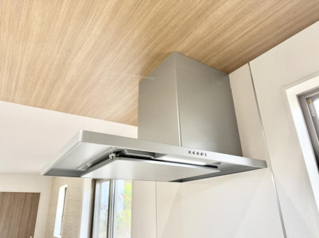 ̑ ݔ̏CCɗUAIɔrł܂B