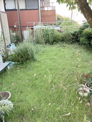 ̑ OρG߂̈ڂ낢A͋C̉O