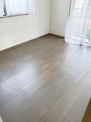 Q ̔zuʋC̗ǂ݌vŕ̋C炸AɐVNȋC܂