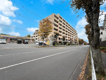 nOώʐ^ OρV̑ASn悢