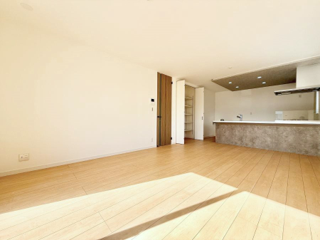 ���̑� ����