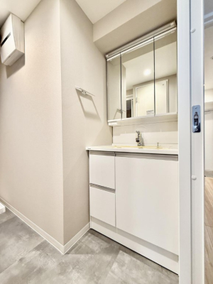 ���ʑ�E���ʏ� �������������Ő������̂�����ʏ�