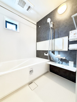 ���� �����������������F�����̕ǖʁA������芰����o�X���[��