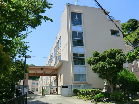 ӊ wZ 500m {s팩wZ