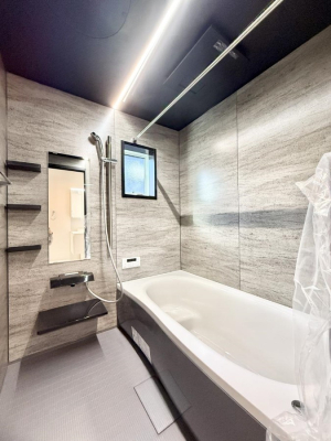 ���� �������������A������芰����o�X���[��