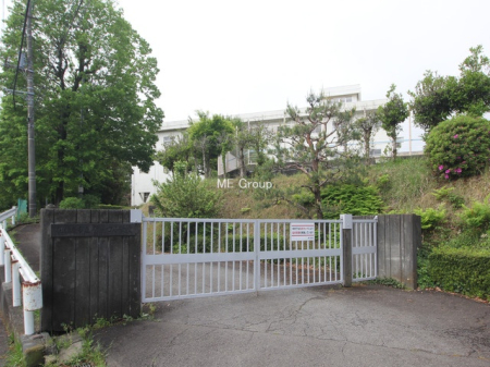 ӊ wZ 800m ͌šwZ