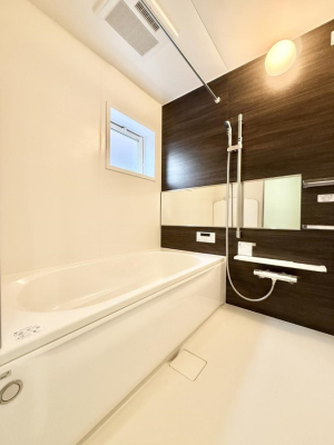 ���� �����������������F�����̕ǖʁA������芰����o�X���[��