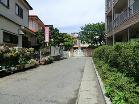 ӊ ctEۈ牀 500m {ct