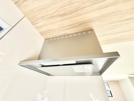 ̑ ݔ̏CCɗUAIɔrł܂B