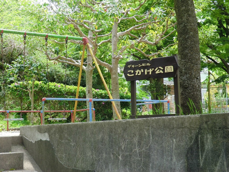 ���ӊ� ���� 170m �O���[���q������������