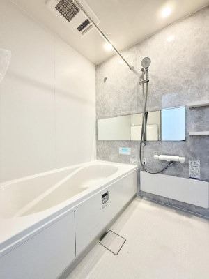 ���� �����������������F�����̕ǖʁA������芰����o�X���[��