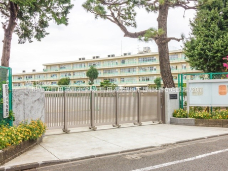 ӊ wZ 1100m csclwZ