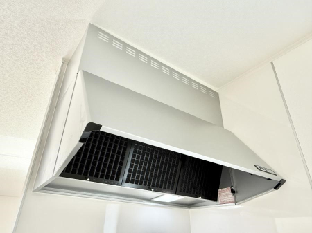 ̑ ݔ̏CCɗUAIɔrł܂B