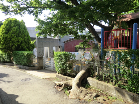 ӊ ctEۈ牀 1100m 툤