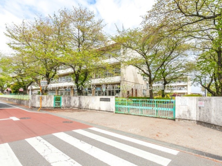 ӊ wZ 500m ~sᑐwZ