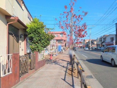 nOώʐ^ OρVZ܂AX̐Vi