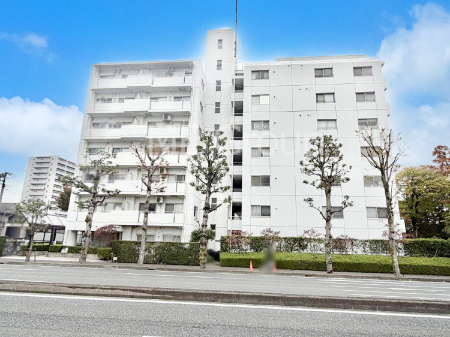 nOώʐ^ OρV炵n܂ꏊŁAƑJ[߂