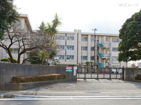 ӊ wZ 400m CVsVcwZ