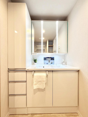 ���ʑ�E���ʏ� ���������̏������X���[�Y�ɂł���L���ł�