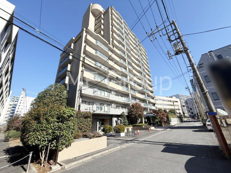 nOώʐ^ OρV炵n܂ꏊŁAƑJ[߂