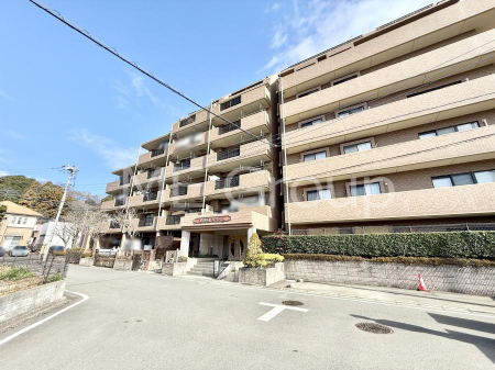 ���n�O�ώʐ^ �O�ρ��܂��͈�x������������