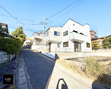 nOώʐ^ OρDȃCAĂ܂