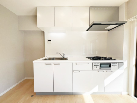 ���̑� ����