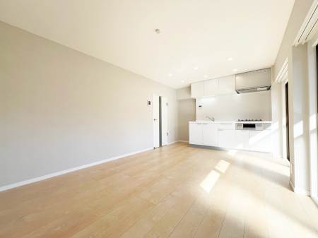 ���̑� ����