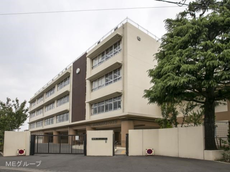 ӊ wZ 1142m {s{\wZ