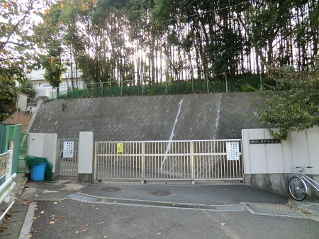 ӊ wZ 1100m ls˒wZ