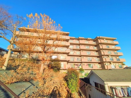 ���n�O�ώʐ^ �O�ρ��܂��͈�x������������