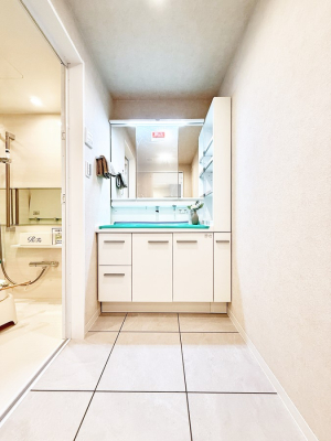 ���ʑ�E���ʏ� ������������������A�C�����悭�g���܂�