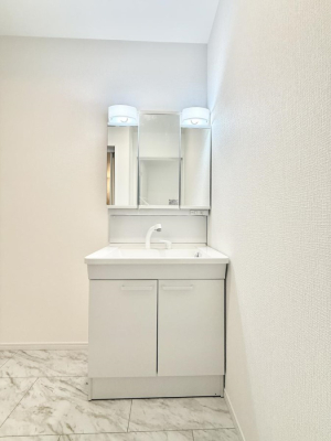 ���ʑ�E���ʏ� �������������Ő������̂�����ʏ�